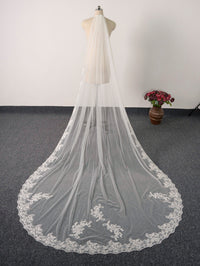 Cathedral Length 3M Lace Applique Wedding Bridal Veil with Metal Comb AS10