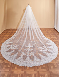 2024 Wedding Bridal Veil With Metal Comb Bling Bling Sequin Lace F04