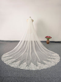 Royal Length 3.5M Lace Edge Wedding Bridal Veil with Metal Comb AS01
