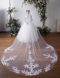 Cathedral Lace 1 Tier Soft Tulle Wedding Veil With Metal Comb X55